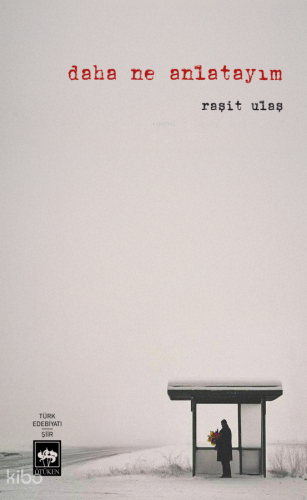 Daha Ne Anlatayım | Raşit Ulaş | Ötüken Neşriyat