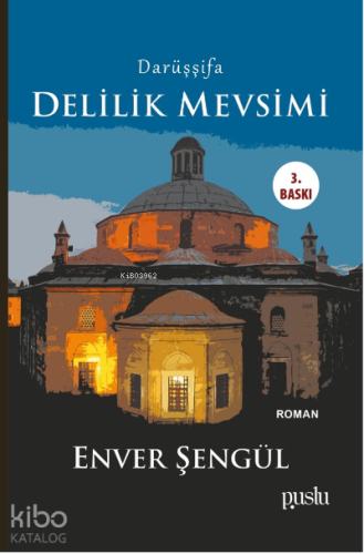 Darüşşifa; Delilik Mevsimi