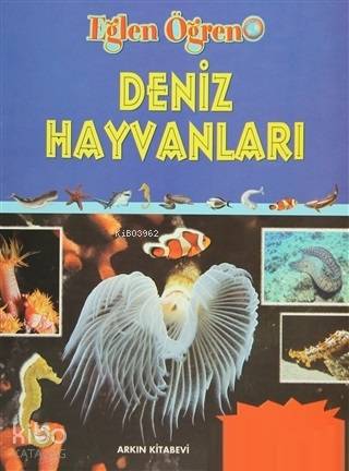 Deniz Hayvanları; Eğlen Öğren | Kolektif | Arkın Kitabevi