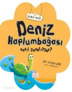 Deniz Kaplumbağası Nasıl Yaratılıyor?