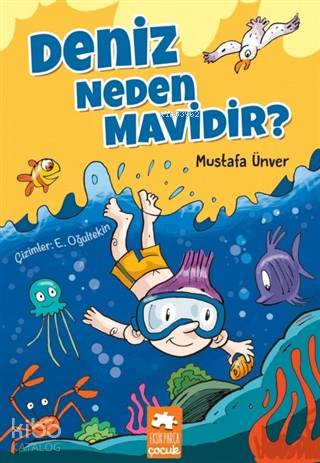 Deniz Neden Mavidir?