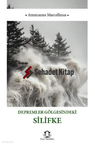 Depremler Gölgesindeki Silifke