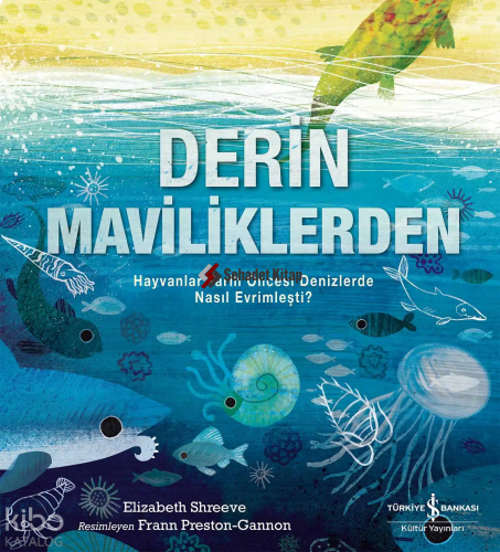 Derin Maviliklerden;Hayvanlar Tarih Öncesi Denizlerde Nasıl Evrimleşti?