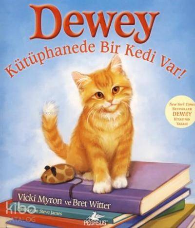 Dewey; Kütüphanede Bir Kedi Var!