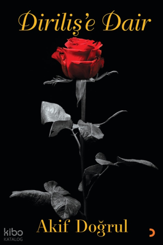 Dirilişe Dair | Akif Doğrul | Cinius Yayınları