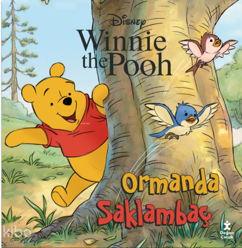 Disney Winnie The Pooh - Ormanda Saklambaç | Kolektif | Doğan Çocuk