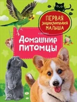 Домашние питомцы. Первая энциклопедия малыша