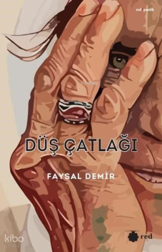 Düş Çatlağı | Faysal Demir | Red Yayınları