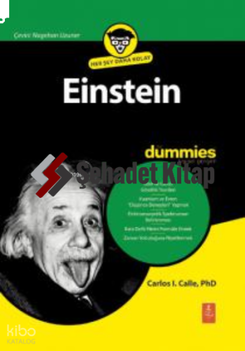 Einstein for Dummies