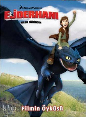 Ejderhanı Nasıl Eğitirsin; Filmin Öyküsü