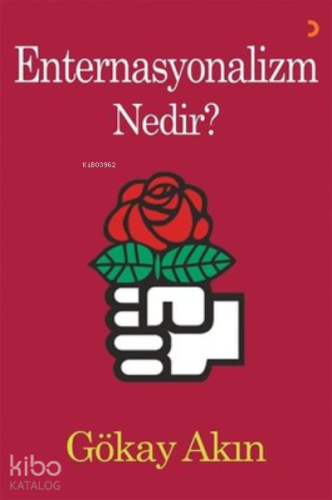 Enternasyonalizm Nedir?