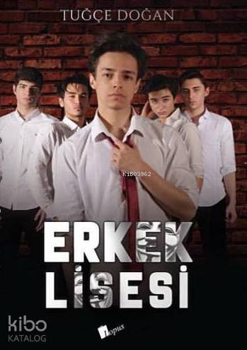 Erkek Lisesi