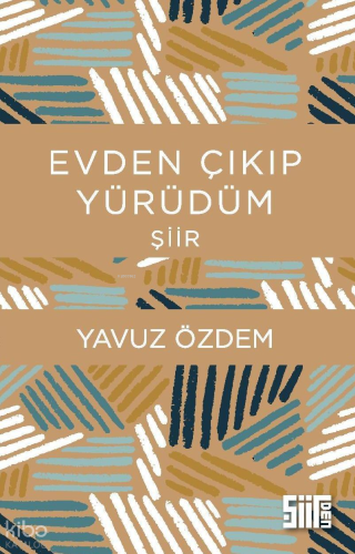 Evden Çıkıp Yürüdüm