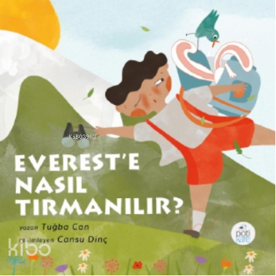Everest'e Nasıl Tırmanılır?