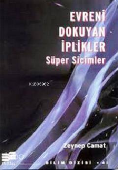 Evreni Dokuyan İplikler; Süper Sicimler
