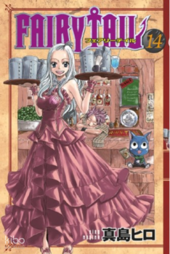 Fairy Tail 14 Cilt