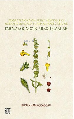 Farmakognozik Araştırmalar - Sideritis Montana Subsp.Montana ve Sideritis Montana Subsp.Remota Üzeri
