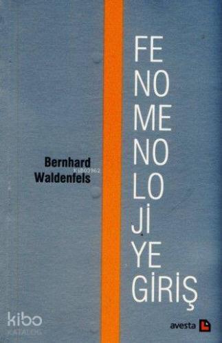 Fenomenolojiye Giriş