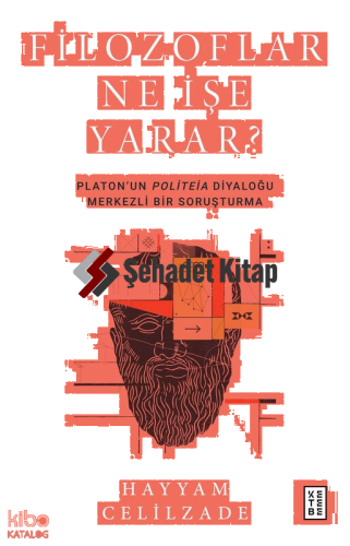 Filozoflar Ne İşe Yarar?;Platon’un Politeia Diyaloğu Merkezli Bir Soruşturma