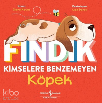 Fındık Kimselere Benzemeyen Köpek