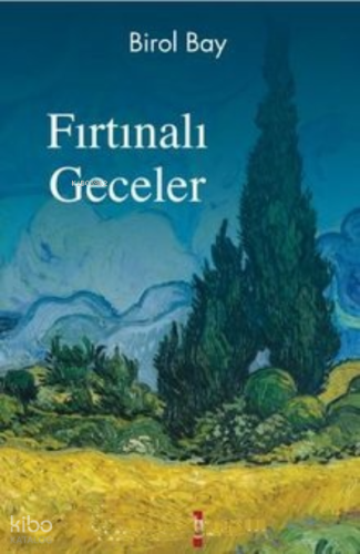 Fırtınalı Geceler