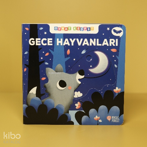 Oynat Keşfet - Gece Hayvanları