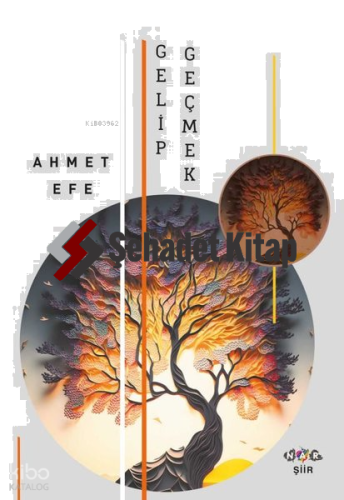 Gelip Geçmek | Ahmet Efe | Nar Yayınları