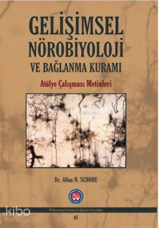 Gelişimsel Nörobiyoloji ve Bağlanma Kuramı; Atölye Çalışması Metinleri