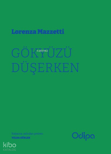 Gökyüzü Düşerken