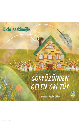 Gökyüzünden Gelen Gri Tüy