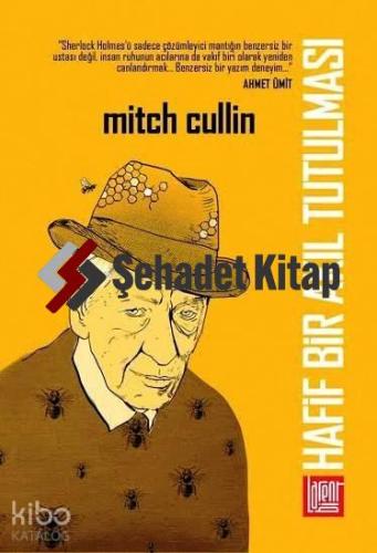 Hafif Bir Akıl Tutulması