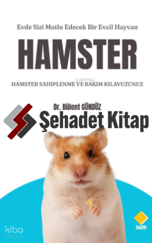 Hamster Sahiplenme ve Bakım Kılavuzunuz
