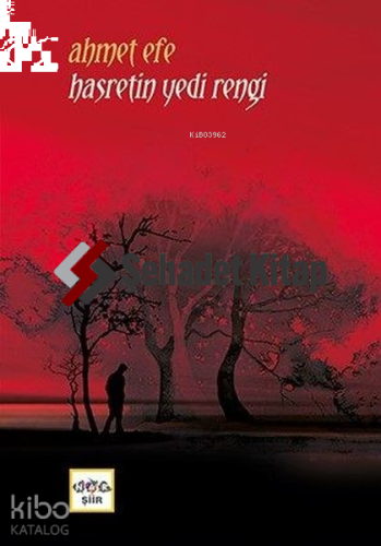 Hasretin Yedi Rengi | Ahmet Efe | Nar Yayınları