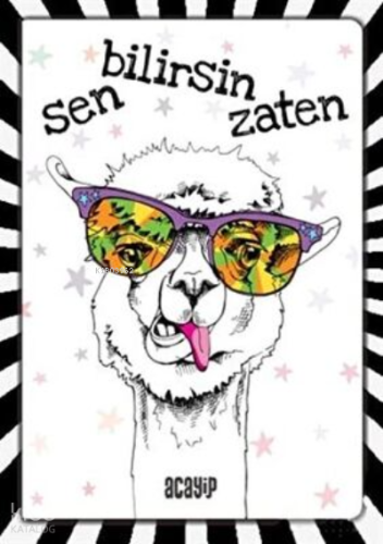 Havalı Panda Defter - Çılgın Defterler | | Acayip Kitaplar