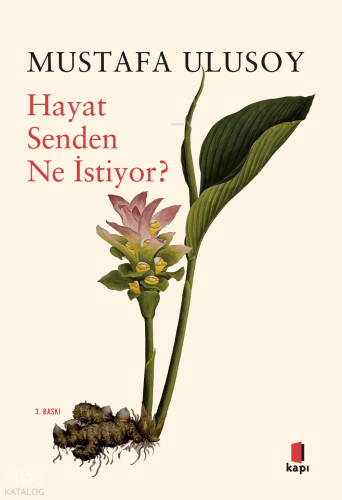 Hayat Senden Ne İstiyor? | Mustafa Ulusoy | Kapı Yayınları