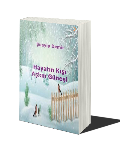 Hayatın Kışı Aşkın Güneşi