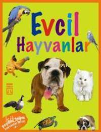 Hayvanlar Dizisi - Evcil Hayvanlar