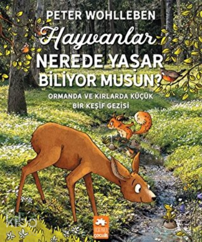 Hayvanlar Nerede Yaşar Biliyor Musun? Ormanda ve Kırlarda Küçük Bir Ke