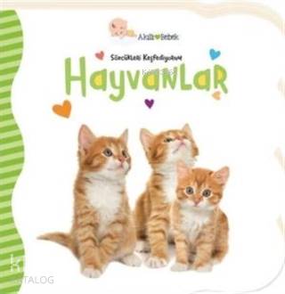 Hayvanlar - Sözcükleri Keşfediyorum