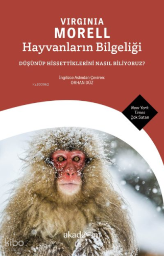 Hayvanların Bilgeliği;Düşünüp Hissettiklerini Nasıl Biliyoruz? | Virgi