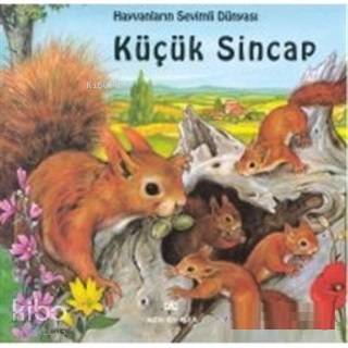 Hayvanların Sevimli Dünyası Küçük Sincap