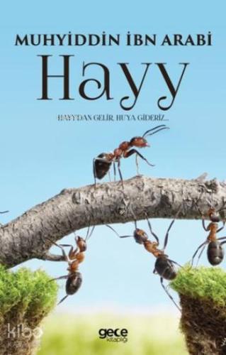 Hayy | Muhyiddin İbn Arabi | Gece Kitaplığı Yayınları