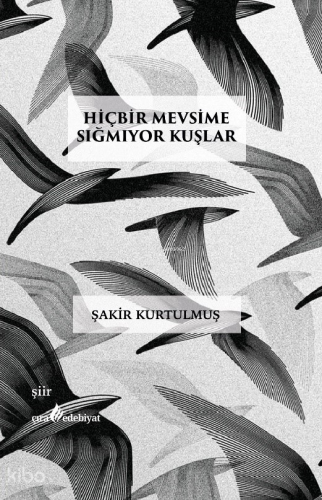 Hiçbir Mevsime Sığmıyor Kuşlar