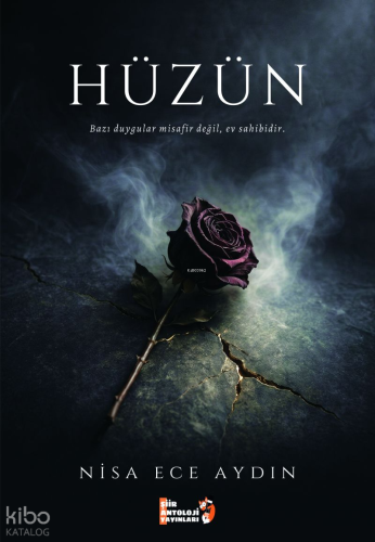 Hüzün | Nisa Ece Aydın | Şiir Antoloji Yayınları