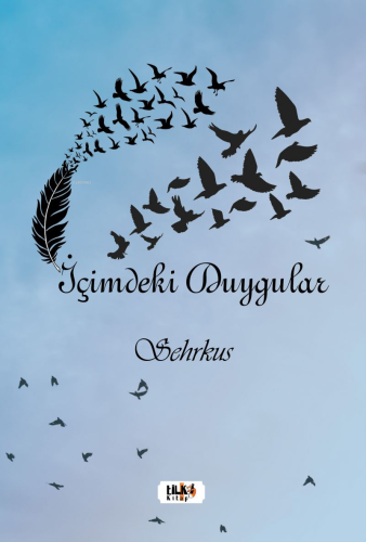 İçimdeki Duygular