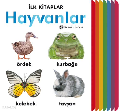 İlk Kitaplar - Hayvanlar (Ciltli) | Kolektif | Remzi Kitabevi