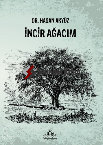 İncir Ağacım