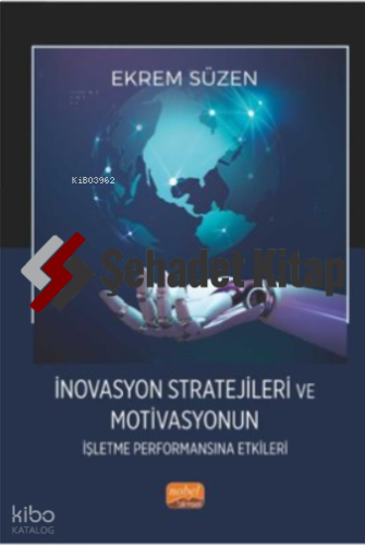 İnovasyon Stratejileri ve Motivasyonun İşletme Performansına Etkileri