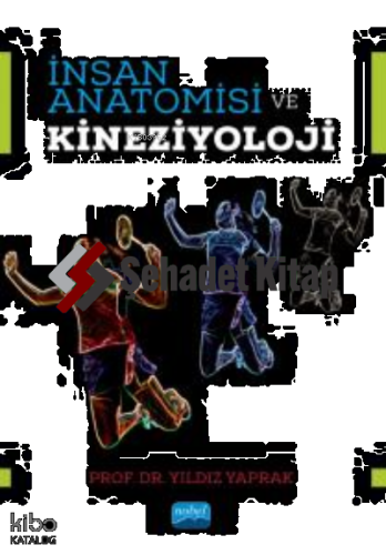 İnsan Anatomisi ve Kineziyoloji