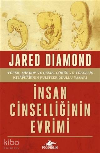 İnsan Cinselliğinin Evrimi